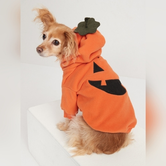 Old Navy Other - Old Navy | Halloween Jack-o-lantern Pumpkin Dog Hoodie Costume | XXL